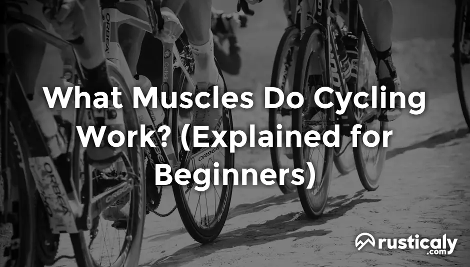 what muscles do cycling work