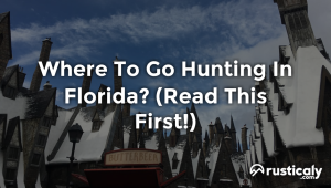 where to go hunting in florida