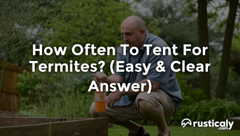 how often to tent for termites