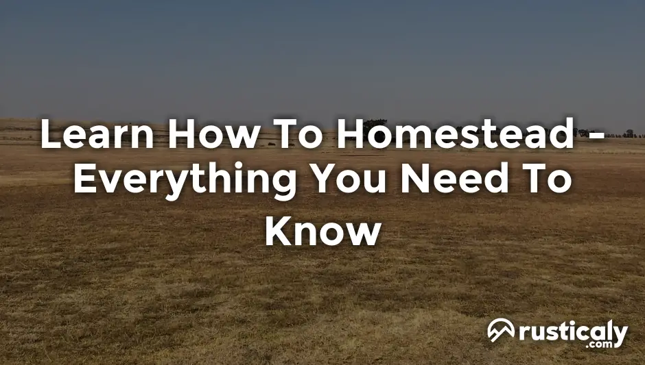learn how to homestead