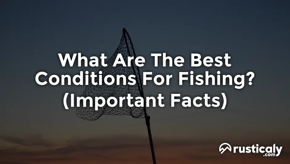 what are the best conditions for fishing