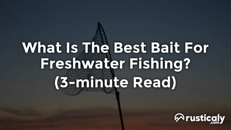 what is the best bait for freshwater fishing