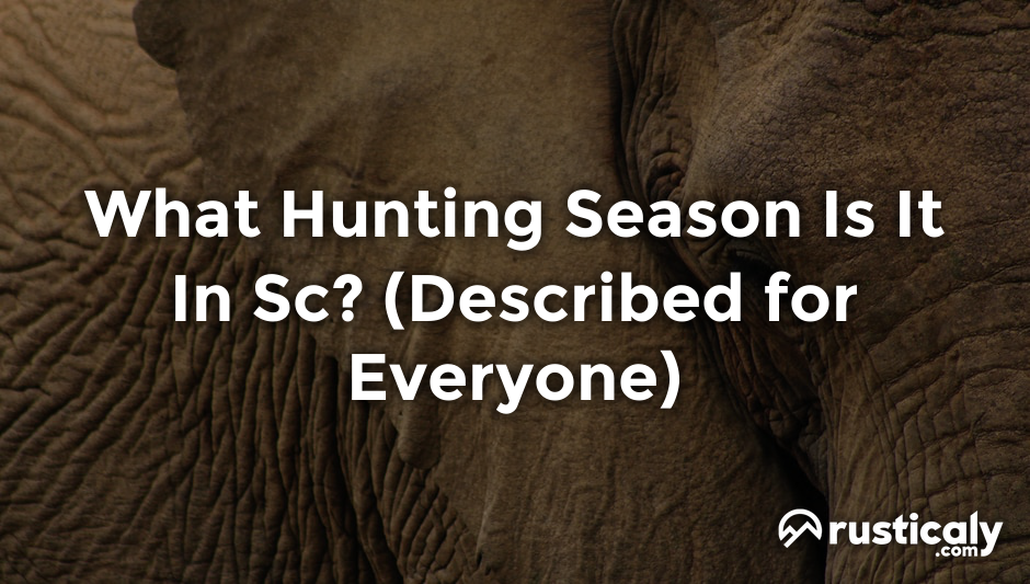 what hunting season is it in sc