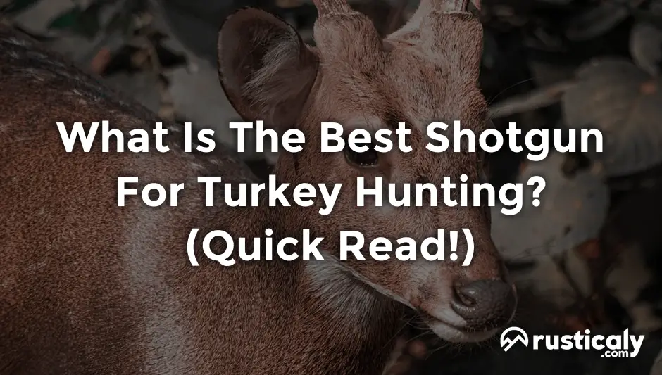 what is the best shotgun for turkey hunting