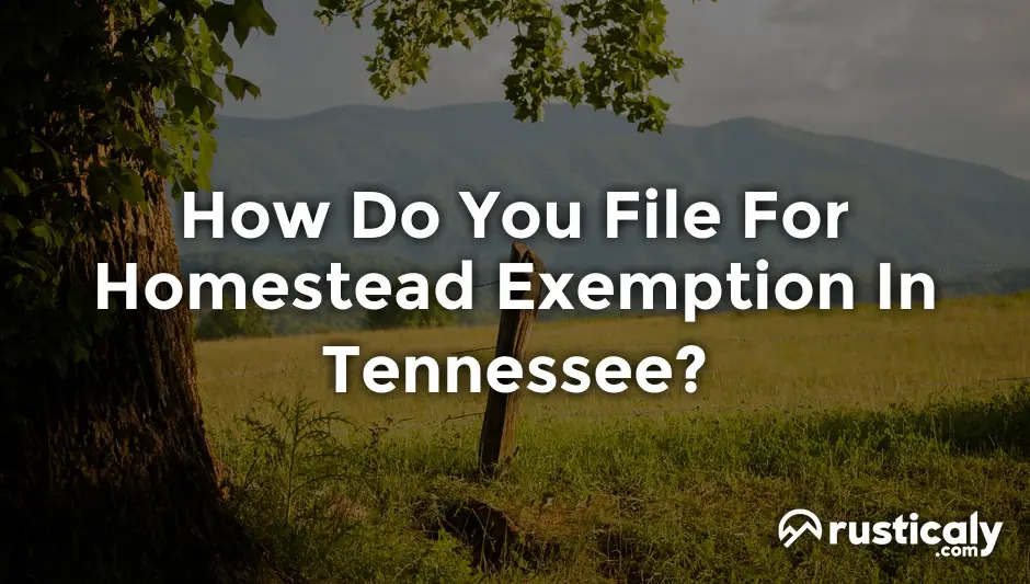 how-do-you-file-for-homestead-exemption-in-tennessee