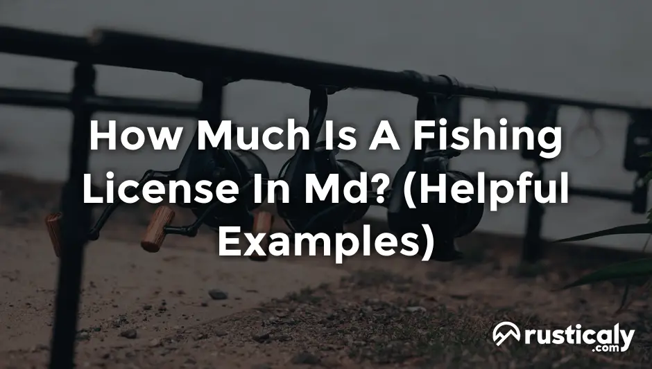 how much is a fishing license in md