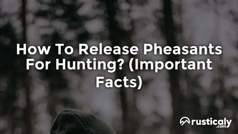 how to release pheasants for hunting