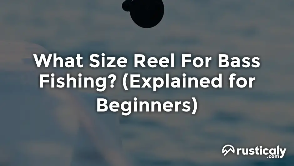 what size reel for bass fishing