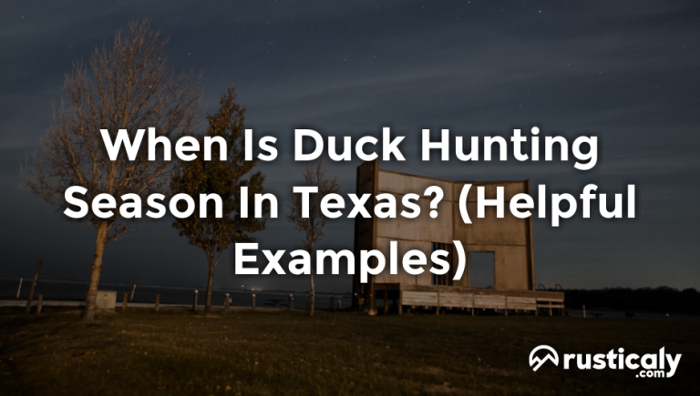 when is duck hunting season in texas