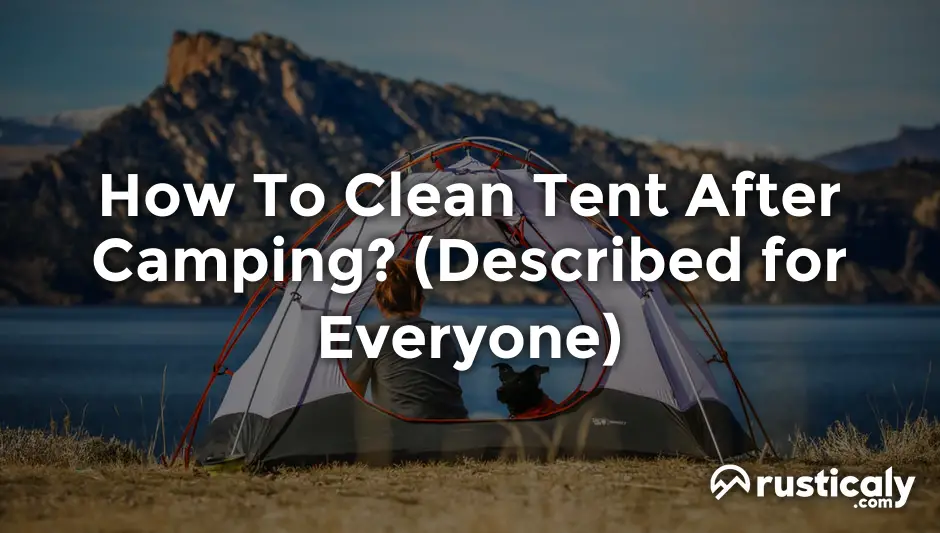 how to clean tent after camping