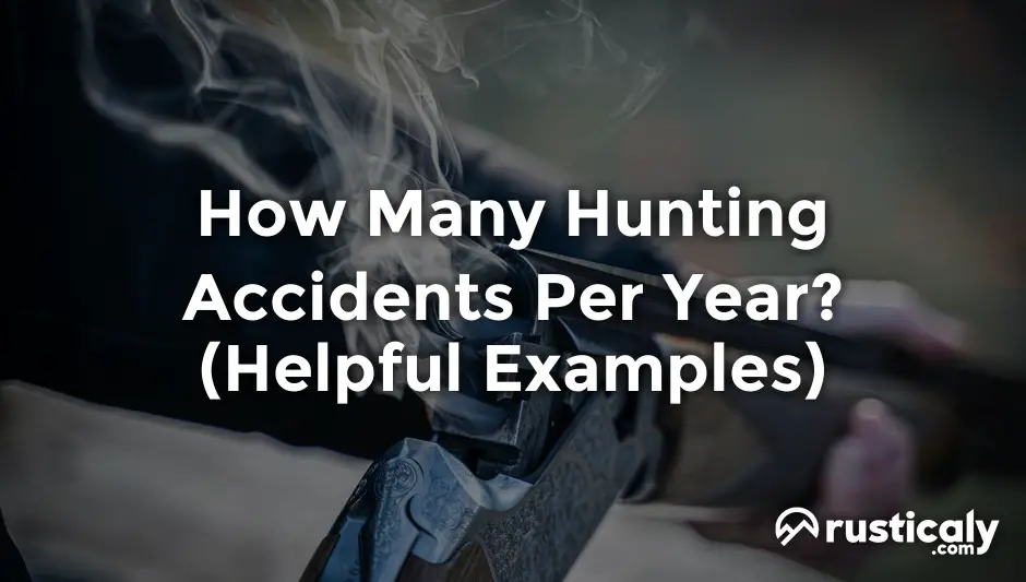 how many hunting accidents per year