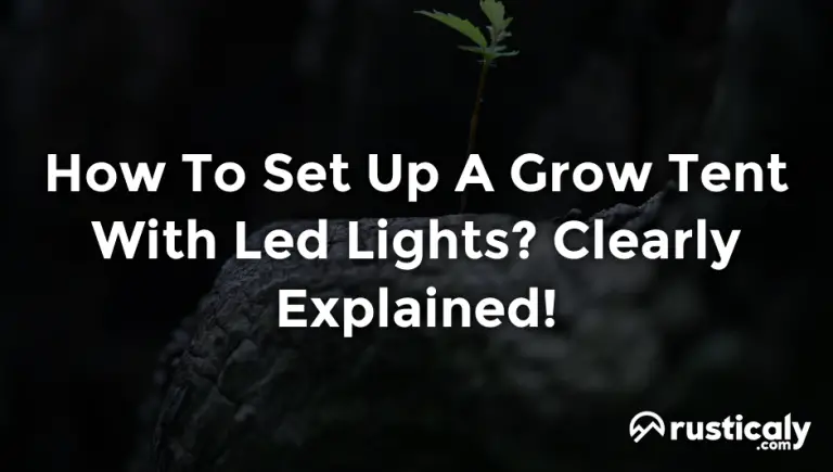 how to set up a grow tent with led lights