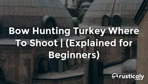 bow hunting turkey where to shoot