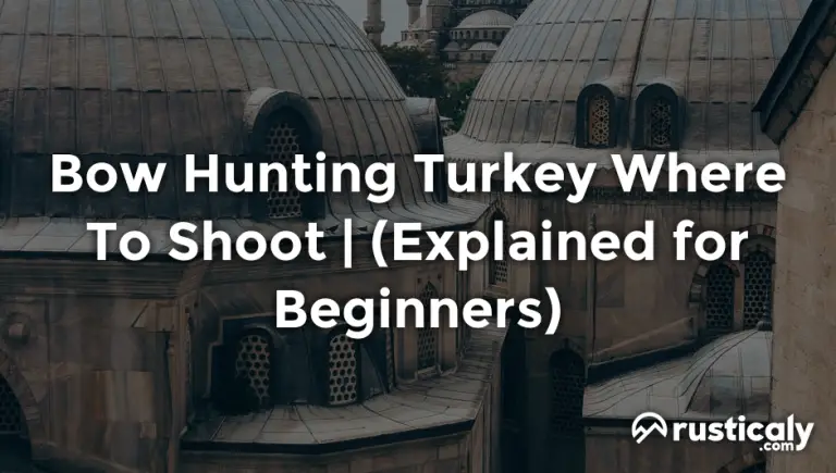 bow hunting turkey where to shoot