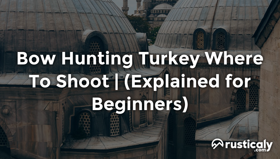 bow hunting turkey where to shoot