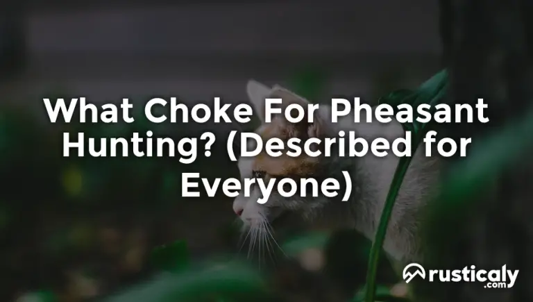 what choke for pheasant hunting