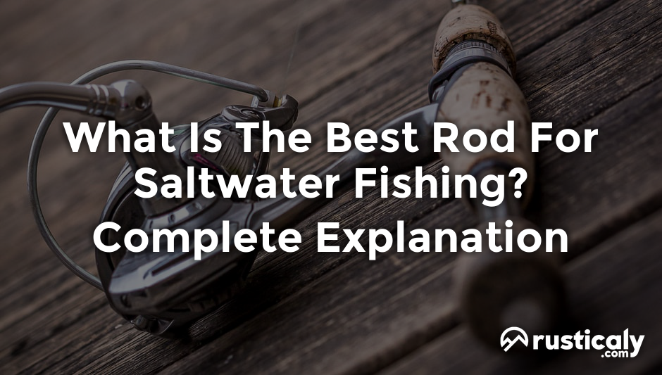 what is the best rod for saltwater fishing