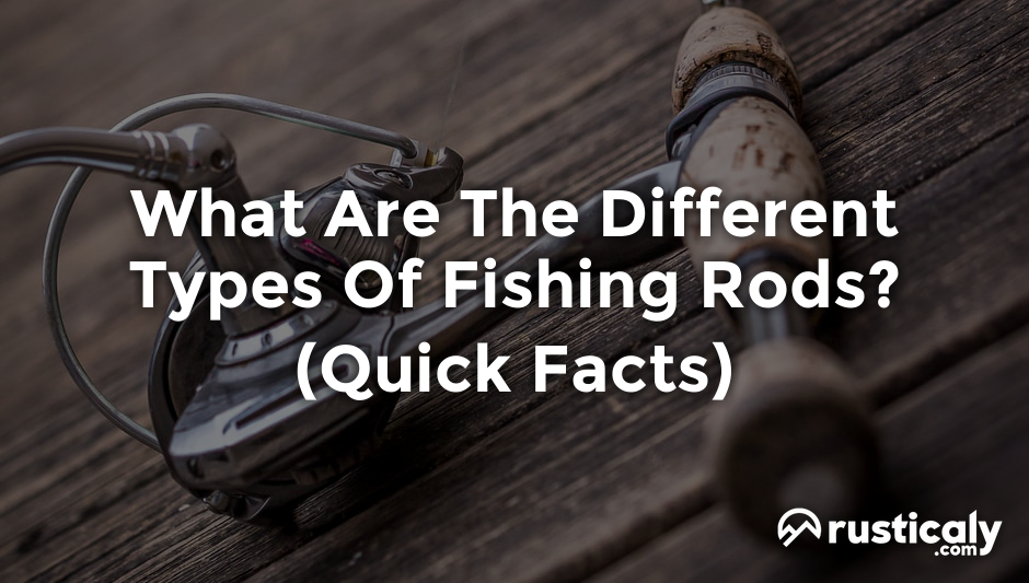 what are the different types of fishing rods