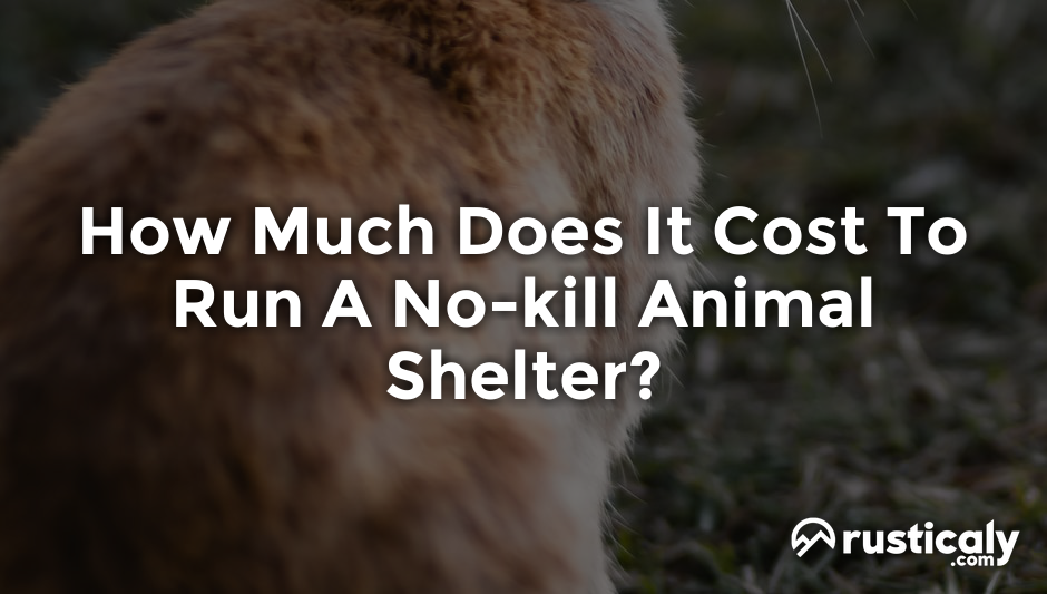 how much does it cost to run a no-kill animal shelter