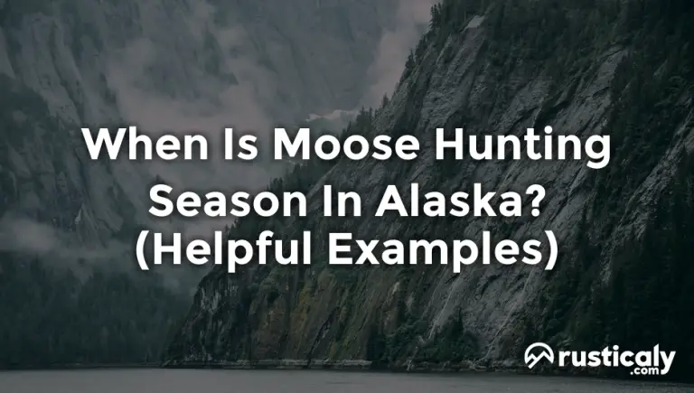 when is moose hunting season in alaska
