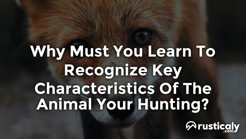 why must you learn to recognize key characteristics of the animal your hunting?