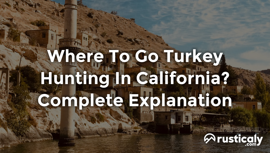 where to go turkey hunting in california