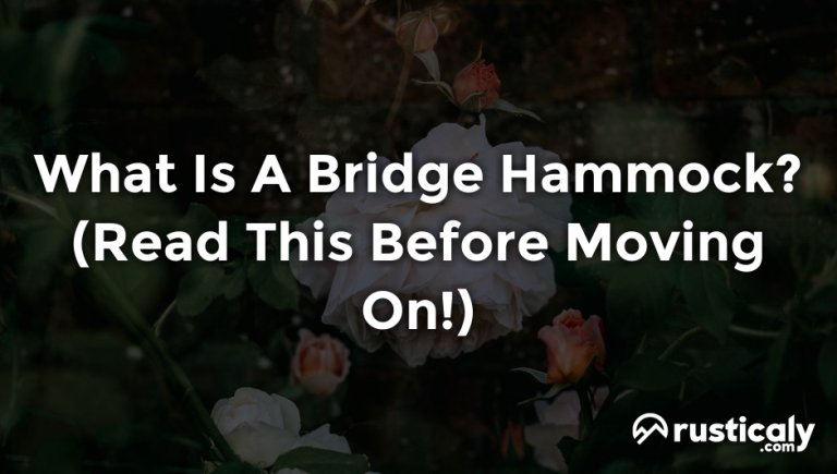 what is a bridge hammock