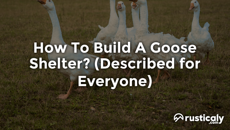 how to build a goose shelter