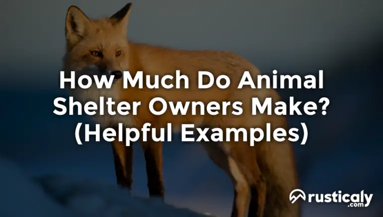 how much do animal shelter owners make