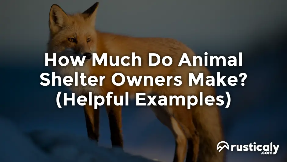 how much do animal shelter owners make