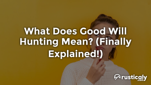what does good will hunting mean