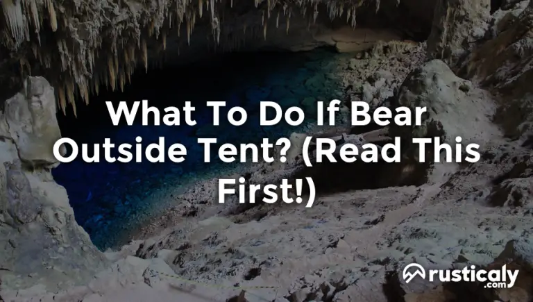 what to do if bear outside tent