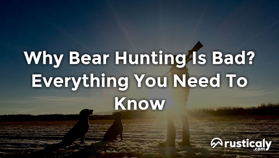 why bear hunting is bad