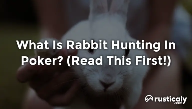what is rabbit hunting in poker