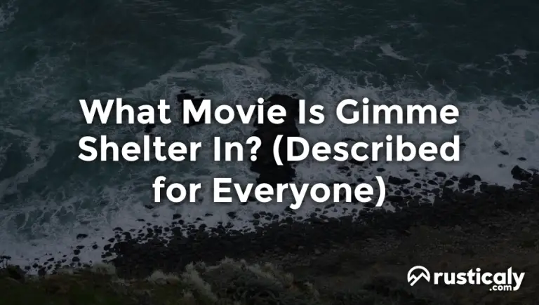 what movie is gimme shelter in
