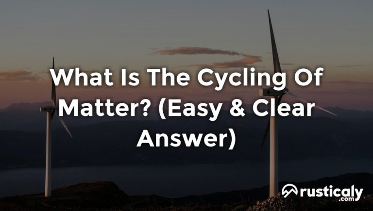 what is the cycling of matter