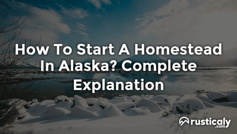 how to start a homestead in alaska