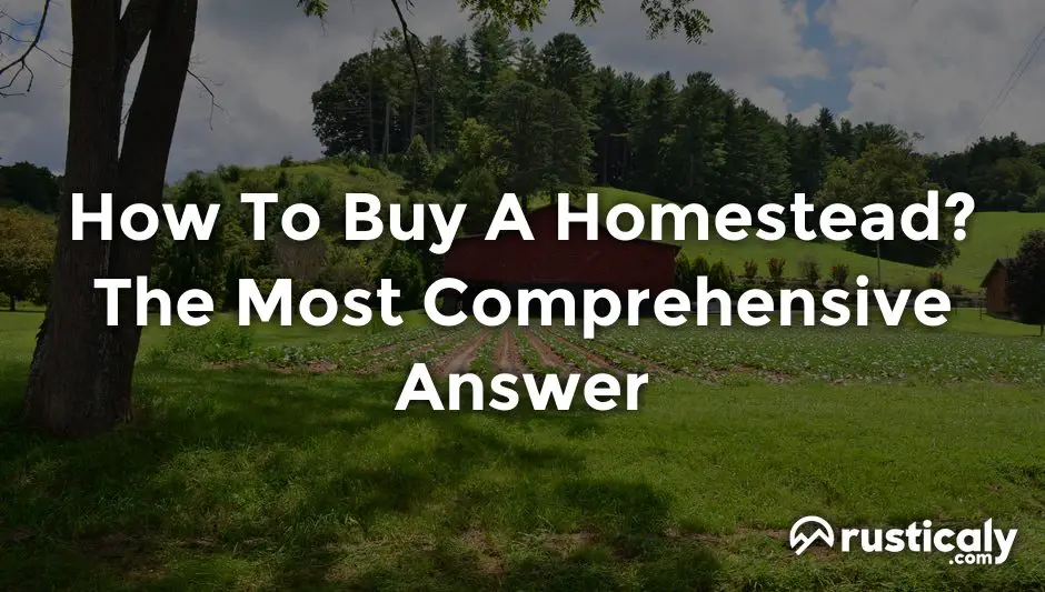 how to buy a homestead