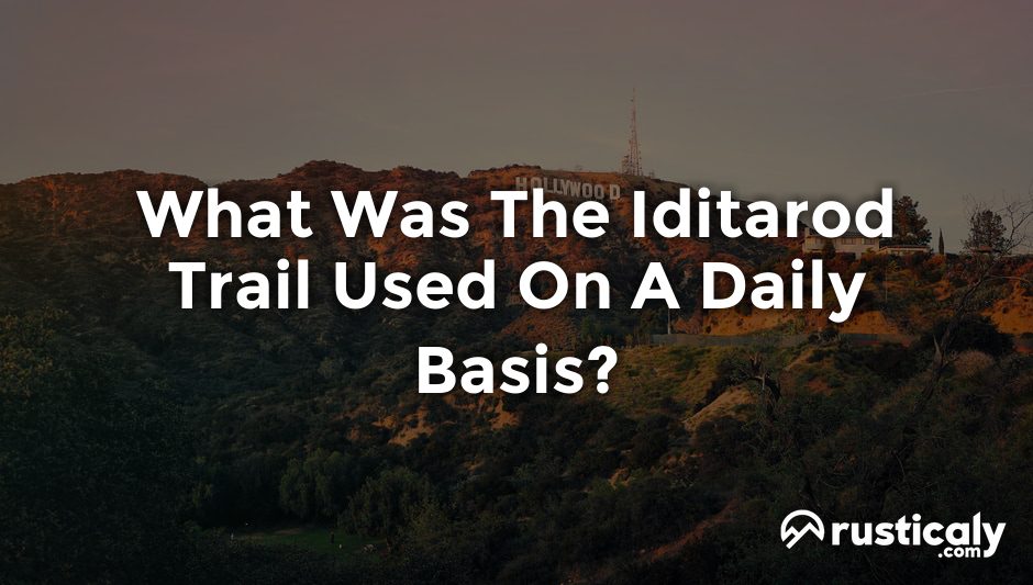 what was the iditarod trail used on a daily basis