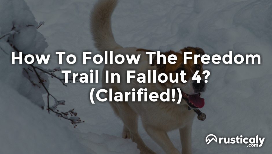 how to follow the freedom trail in fallout 4