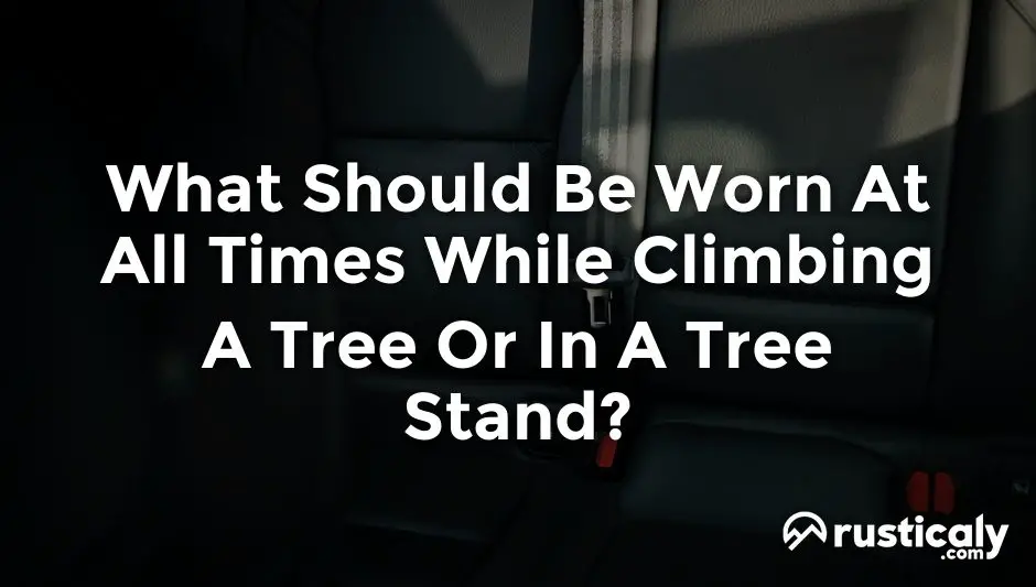 what should be worn at all times while climbing a tree or in a tree stand