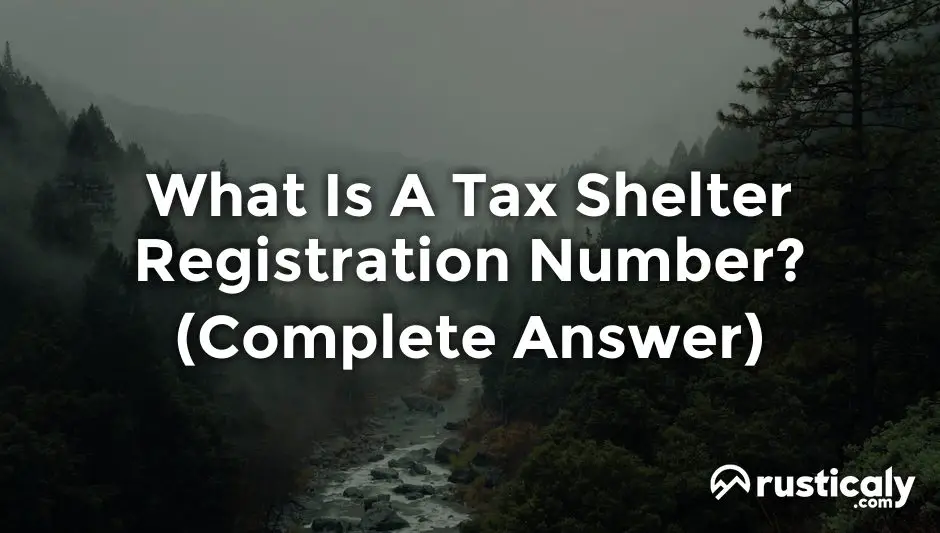 What Is A Tax Shelter Registration Number? Complete Explanation