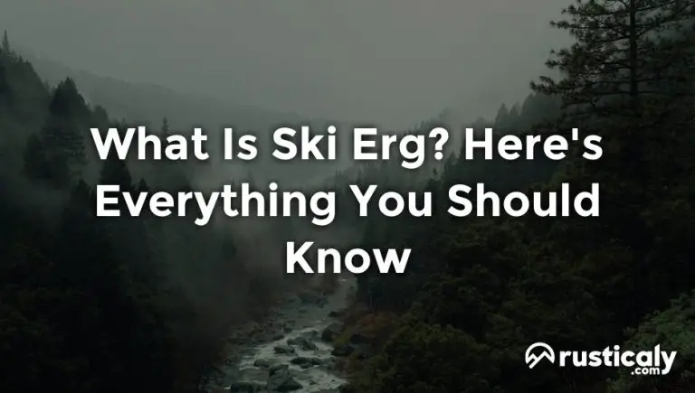 what is ski erg