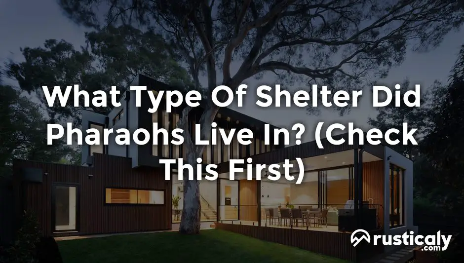 what type of shelter did pharaohs live in