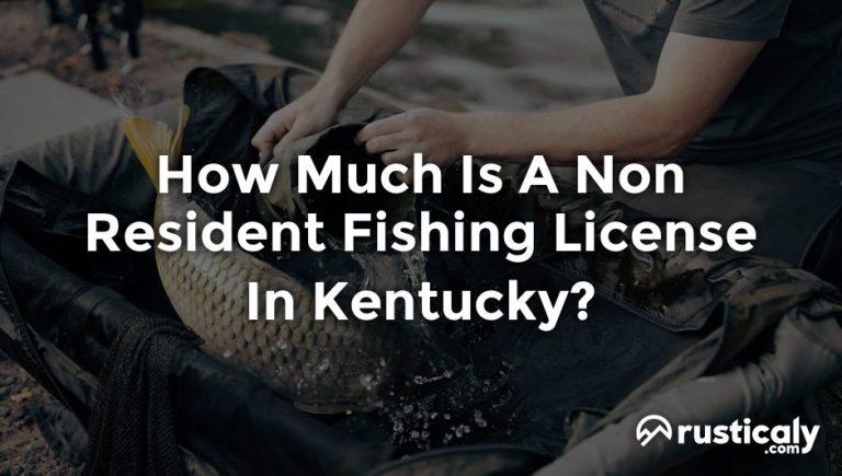how much is a non resident fishing license in kentucky