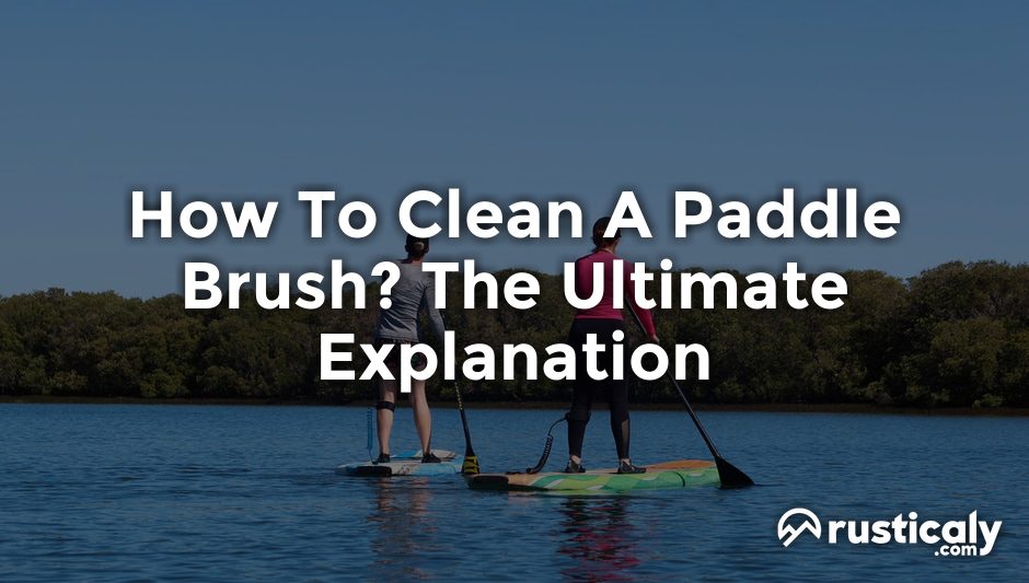 how to clean a paddle brush