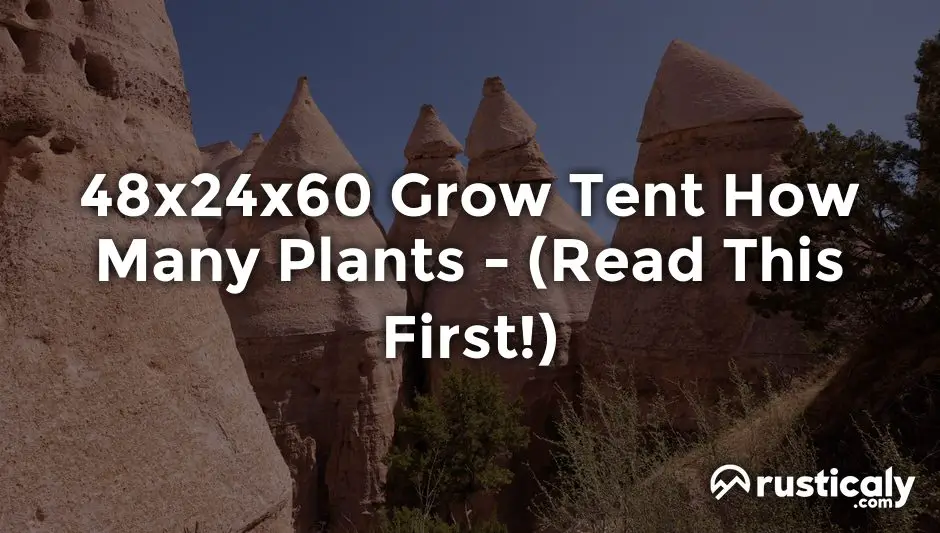 48x24x60 grow tent how many plants