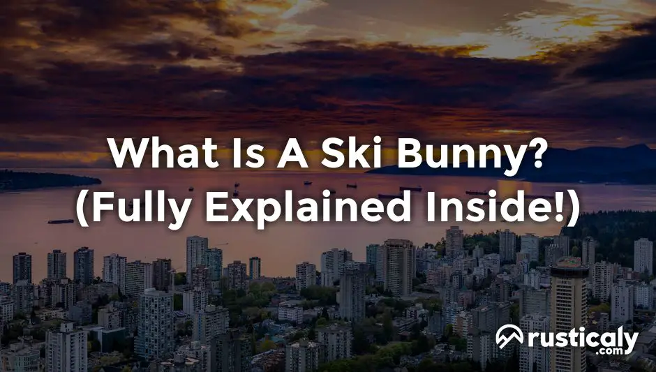 what is a ski bunny