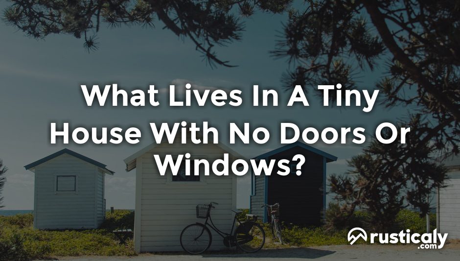 what lives in a tiny house with no doors or windows
