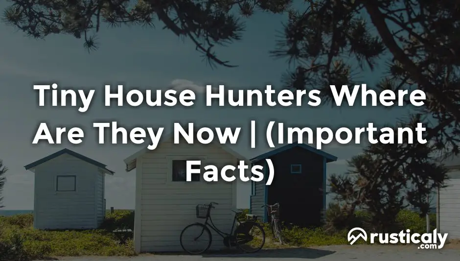 tiny house hunters where are they now